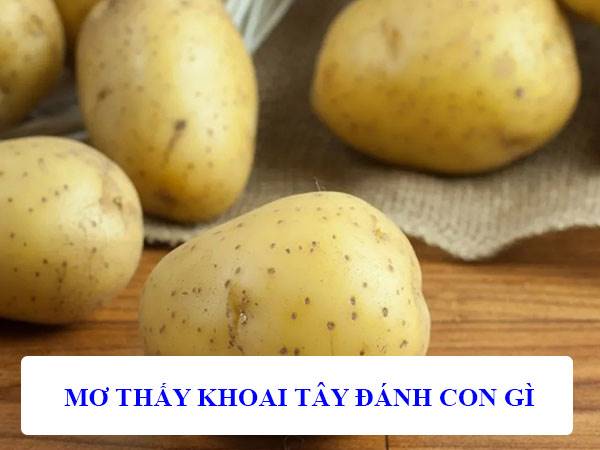 giấc mơ thấy khoai tây giấc mơ thấy khoai tây