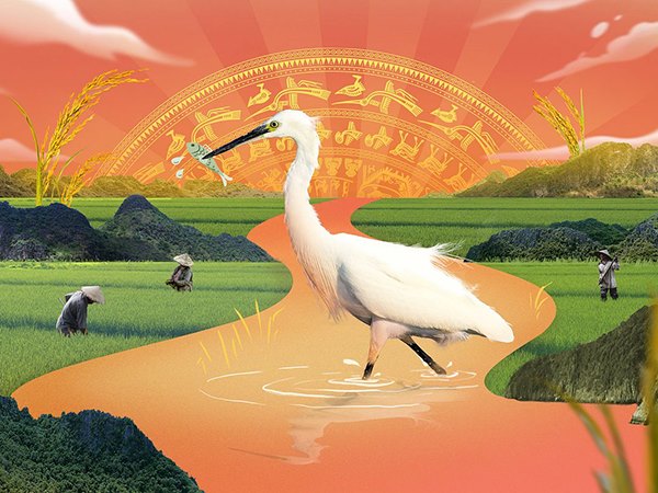 Mơ thấy con cò điềm gì? Đánh liền tay cặp số mấy? Mơ thấy con cò điềm gì? Đánh liền tay cặp số mấy?