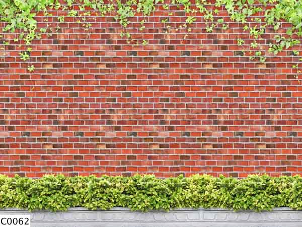 Nằm mơ thấy bức tường đánh con gì - Ý nghĩa giấc chiêm bao