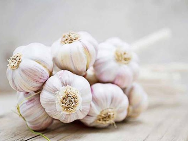 Mơ thấy củ tỏi là điềm gì? Đánh ngay con gì đổi đời? Mơ thấy củ tỏi là điềm gì? Đánh ngay con gì đổi đời?