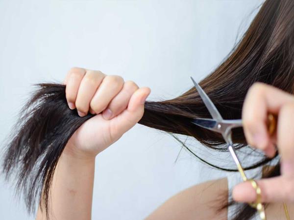 Giải mã ý nghĩa giấc mơ thấy cắt tóc là điềm báo gì 2 Giải mã ý nghĩa giấc mơ thấy cắt tóc là điềm báo gì 2