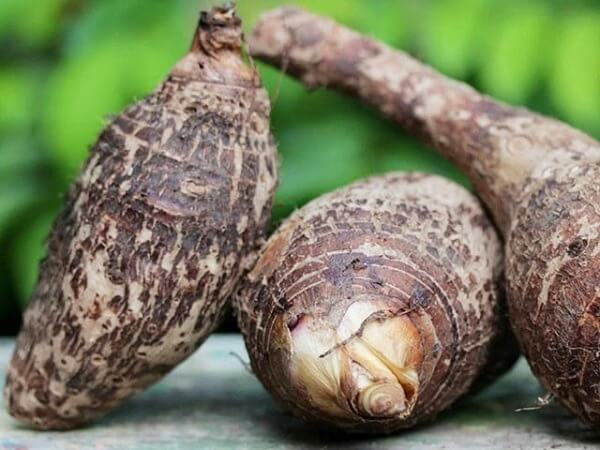 Nằm mơ thấy củ khoai môn đánh con gì - Giải mã giấc mơ