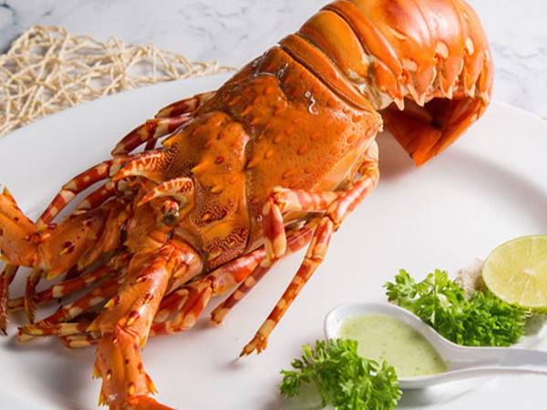 Con tôm hùm số mấy? Nằm mơ thấy tôm hùm đánh con gì hôm sau Con tôm hùm số mấy? Nằm mơ thấy tôm hùm đánh con gì hôm sau