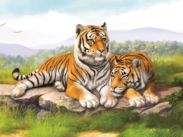 Mơ thấy con hổ có điềm báo gì