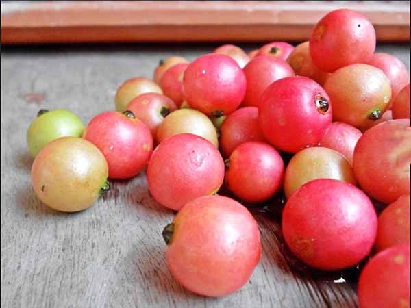 Ngủ mơ thấy quả trứng cá là điềm báo gì