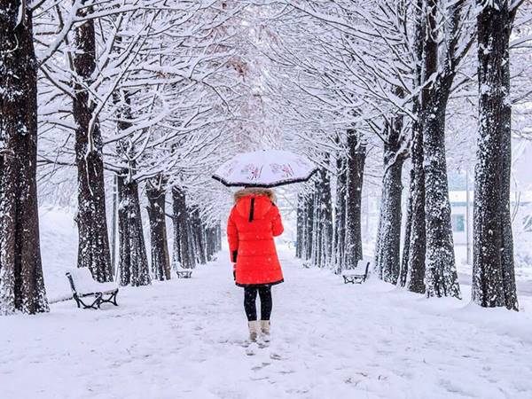 Mơ thấy mùa đông đánh con gì nên chọn số mấy