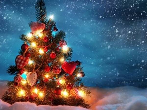 Nằm mơ thấy cây thông noel đánh con gì mang đến may mắn