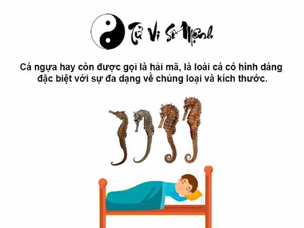 Nhìn thấy cá ngựa có ý nghĩa gì, con số nào may mắn?