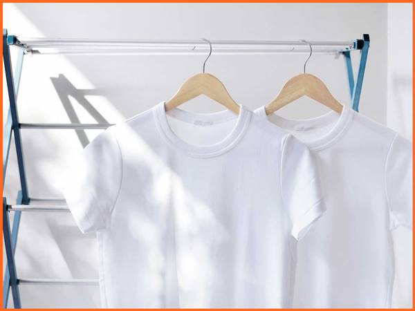 Nhìn thấy áo trắng số đẹp nào?