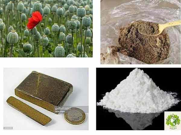 Nhìn thấy thuốc phiện có phải điềm báo dữ không? ý nghĩa là gì?