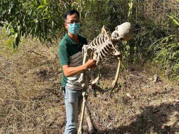 thấy xương người trong nhà