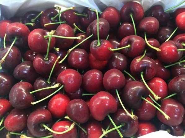 Nhìn thấy quả cherry