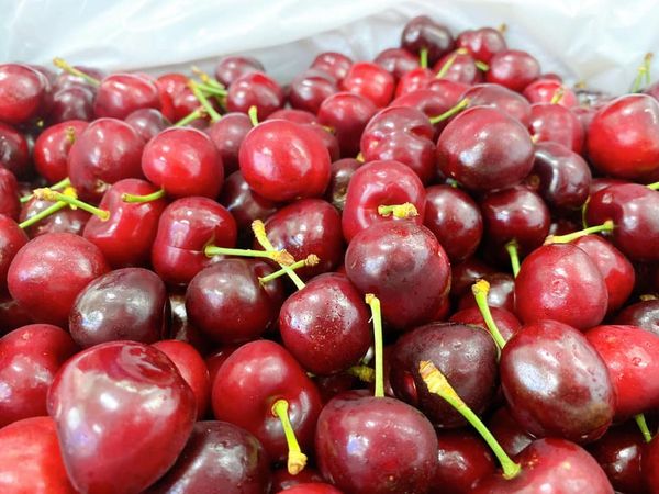 Nhìn thấy quả cherry có mang lại điềm báo tốt lành?