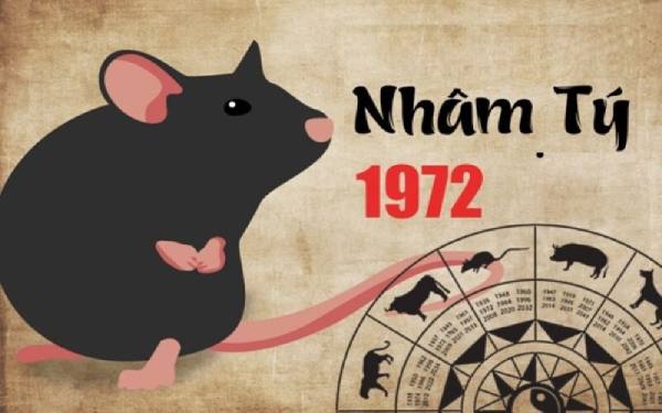 Tham khảo cặp số đẹp cho tuổi Nhâm Tý