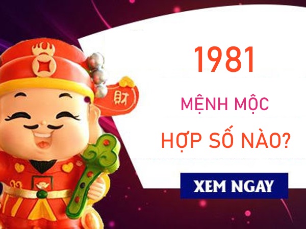 Mệnh Mộc 1981 hợp số nào gặt hái thành công?