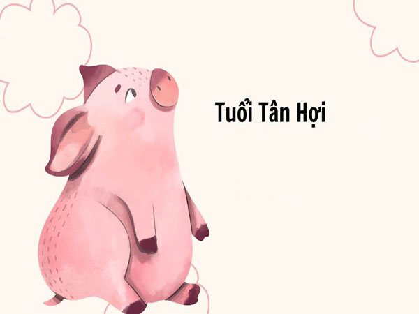 Tổng quan về người tuổi Tân Hợi ngày 18/5/2025 chủ nhật hôm nay