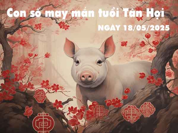 Con số tài lộc tuổi Tân Hợi ngày 18/5/2025 chủ nhật hôm nay