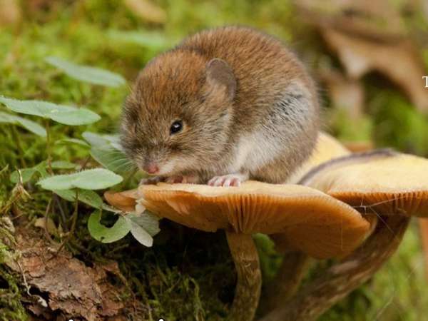 Luận ngay con số may mắn ngày 1/4 thứ 4 tuổi Nhâm Tý 1972