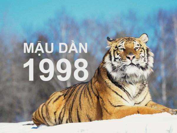 Vận trình tử vi ngày 3/4 của tuổi Mậu Dần Vận trình tử vi ngày 3/4 của tuổi Mậu Dần